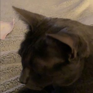 Meet your Posher, Kim